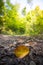 Autumn time: Beautiful colorful leaf lying on the floor, fall concept with copy space