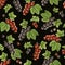Autumn time garden blackcurrant, redcurrant watercolor seamless pattern on black background