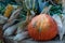 Autumn is the time of harvest, farmers \\\' fairs and holidays, such as Halloween. Zucchini, pumpkins,