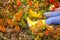 Autumn time. legs in brown suede boots on a blurred yellow leaves background. Fashionable autumn shoes