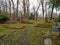 Autumn time in the old abandoned and ransacked Jewish cemetery