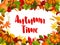 Autumn time poster for fall nature season template