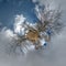 Autumn tiny planet transformation of spherical panorama 360 degrees. Spherical abstract aerial view in forest with clumsy branches