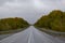 Autumn track on the border of the Khanty-Mansiysk Autonomous Okrug and the Sverdlovsk Region in Russia