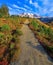 Autumn Trail, Mt. Rainier National Park, Washington State