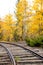 Autumn Train Tracks