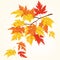 Autumn tree with beautiful flying leaves . Autumn card.Vector illustration.