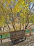 Autumn tree and bench in Jiuzhaigou