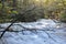 Autumn tree branches across raging flood water