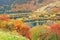 Autumn tree and lake in Jiuzhaigou