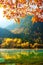 Autumn tree and lake in Jiuzhaigou