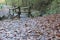 Autumn tree leafs and waterfall water