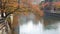 autumn tree with leaves color changed with windy blowing under autumn daytime in Japan and river canal water in background