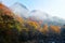 Autumn tree and mountain