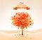 Autumn tree with orange leaves.