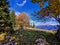 Autumn tree over Glarus in the Swiss Alps