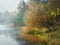 Autumn tree by the pond. Mystical morning autumn landscape with fog over the lake.