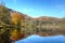 Autumn tree reflected in Grasmere