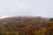 Autumn tree tops in the fog. Autumn colorful background with colorful trees