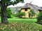Autumn tree and vacation house in Drakensberg