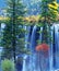 Autumn tree and waterfall in jiuzhaigou