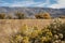 Autumn tree yellow fall foliage Eastern Sierra Nevada mountains