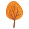 Autumn tree. Yellowed tree for garden forest park. Withering plant with golden foliage. Tree losing leaves Isolated on