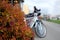 Autumn trees and abstract blur background of a bicycle and person on the street