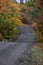 Autumn trees along Scenic Brockway mountain drive