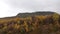 Autumn trees at Aurlandsfjell road  in South Norway