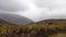 Autumn trees at Aurlandsfjell road  in South Norway