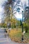 Autumn trees, benches, fallen leaves and streetlight in park