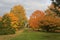 Autumn trees in fall sunshine in grass meadow