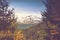 Autumn trees in the forest and snow-covered mountain in the distance.