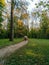 Autumn trees, a horse walking coach with tourists