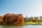 Autumn Trees Landscape Of Tineretului Park In Bucharest, Romania In Fall