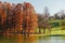 Autumn Trees Landscape Of Tineretului Park In Bucharest, Romania In Fall