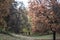 Autumn trees, leaves. Betuful autumn landscape. Uman, Ukraine. The most beautiful plase in Europe. National Ukraine park Sofiivka