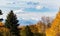 Autumn Trees in Lone Tree, Colorado with Rocky Mountains