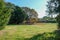 Autumn trees and meadow landscape