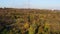 Autumn trees in a public park. Mariupol