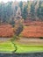 Autumn trees through the rain, Ladybower reservoir, Derbyshire peak district.