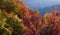 Autumn trees with red and yellow leaves against the background of mountains