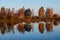 Autumn trees reflect the lake.