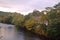 Autumn trees by the river swale