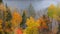 Autumn trees by Riviere Saint Maurice