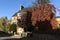 Autumn trees in a road, Oxford