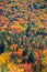 Autumn trees in Rural Vermont