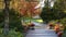 Autumn trees and scenic alley in Frederik Meijer gardens in Grand Rapids, Michigan