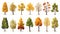 autumn trees, set of vector illustrations of cute trees and shrubs: oak, birch, aspen, linden, fir, sun and dog, different shapes